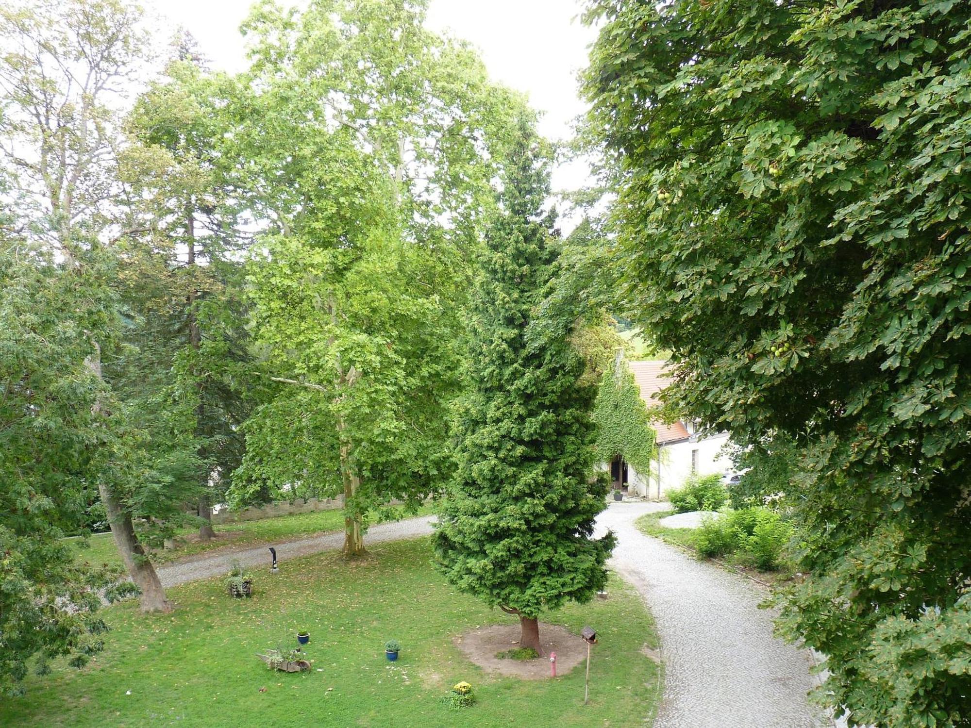 Hotel & Restaurant Schloss Weissenburg Uhlstadt-Kirchhasel Room photo